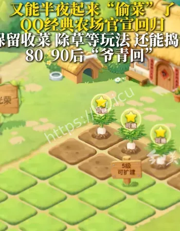 QQ农场回归